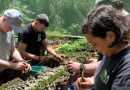 En el marco del Día Internacional del Medio Ambiente, Nimble Giant presentó su reporte de sustentabilidad